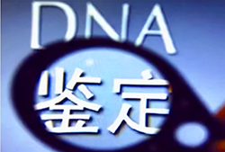 福建孕期亲子鉴定怎么做，福建孕期亲子鉴定机构咨询预约